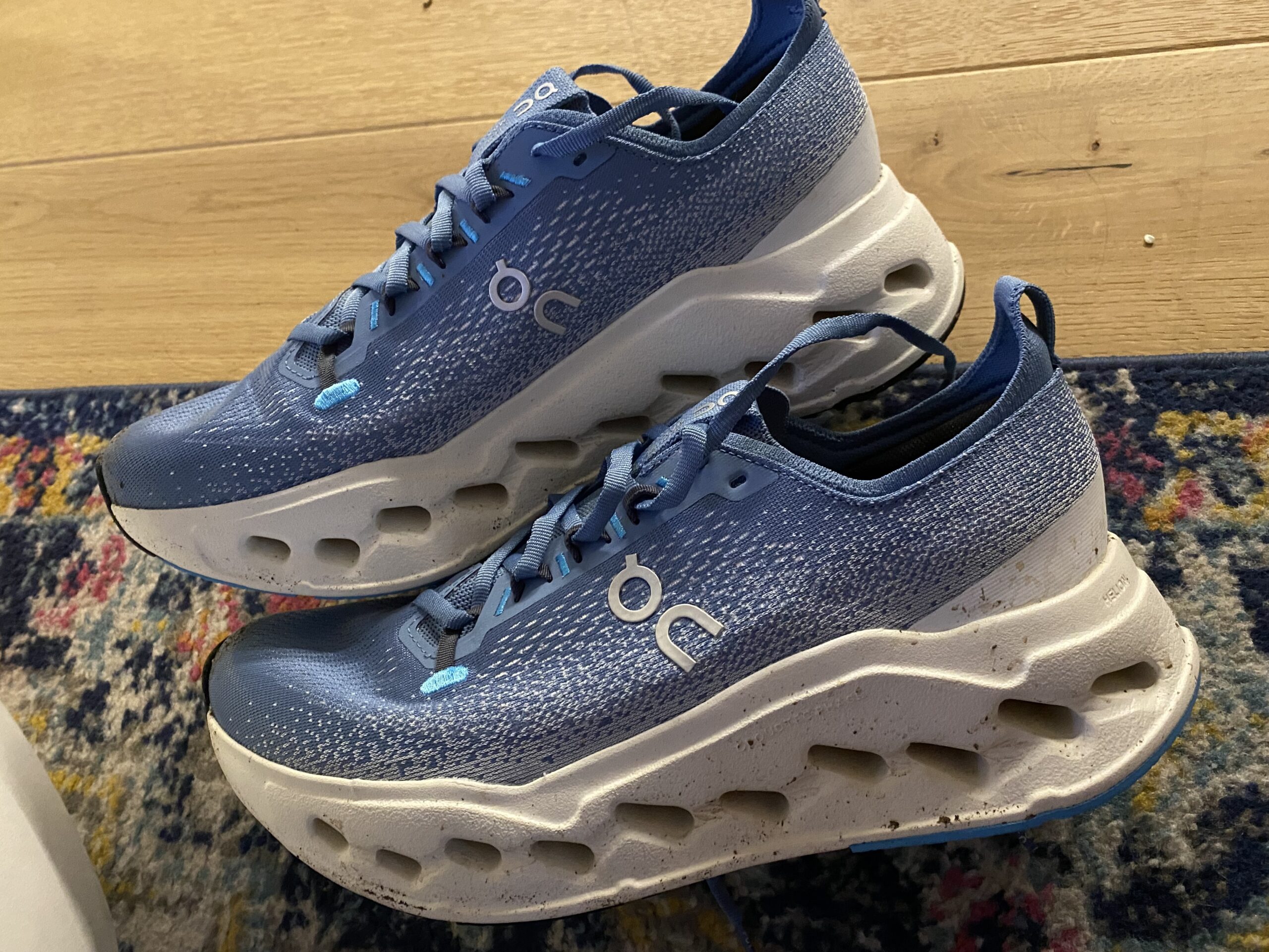 You are currently viewing The ON Cloudsurfer Max